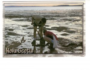 Digging for Clams in Nova Scotia