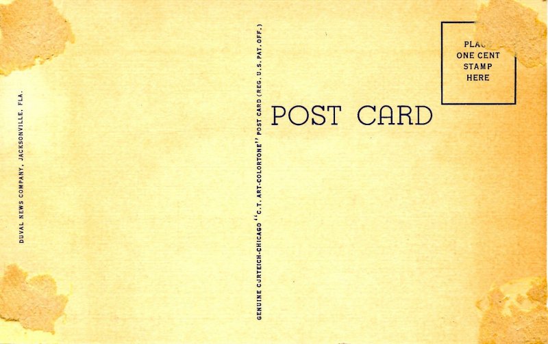 FL - Jacksonville. Confederate Park, Rose Arbor