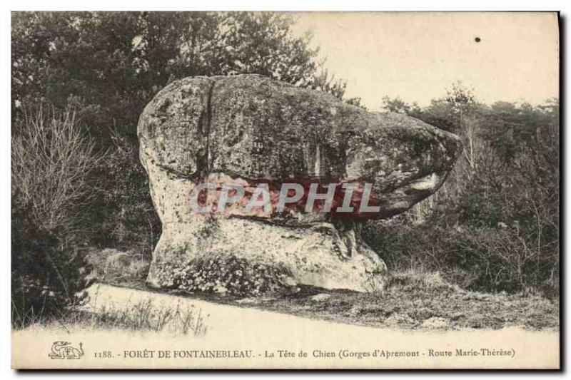 CPA Foret de Fontainebleau La Tete de Chien Gorges d'Apremont Route Marie Theres