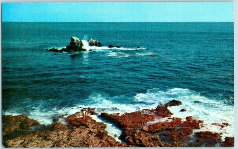 Laguna Beach Rocky Reefs and Tide Pools California Postcard