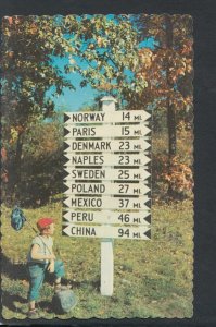 America Postcard - Sign Post in Maine, Located at Lynchville    RS20026