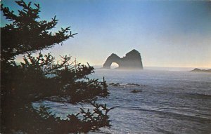 Mack Arch Oregan Coast, Oregon OR