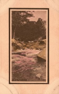 Vintage Postcard 1920's Scenic View On Forest River Family Picnic Place