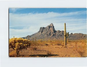 M-150558 Picacho Peak Arizona USA