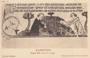 Rabbiting Medieval Rabbit Slaughter Cruelty Sport Hunting Antique Postcard