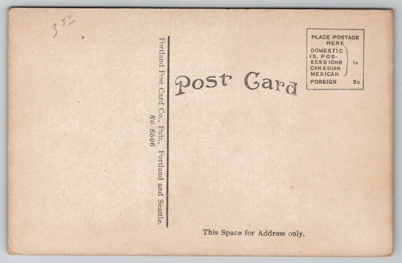 Alaska Yukon Pacific Exposition Emergency Hospital Seattle Postcard E26