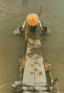 Vietnam Water Carrier Asian Postcard