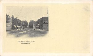 J61/ Willoughby Ohio Postcard c1910 Erie Street North Stores 332