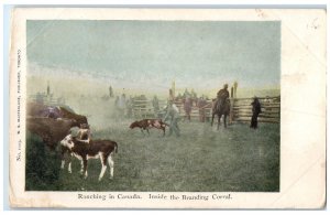 c1920's Inside The Branding Corral Ranching in Canada Antique Unposted Postcard