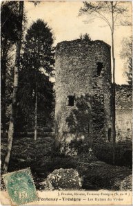 CPA Fontenay-Tresigny Les Ruines du Vivier FRANCE (1289927)