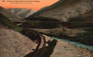 Vintage Postcard A Beauty Spot Deschutes River Line O. W. R. & N. Co. Oregon OR