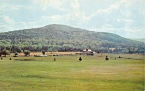 WINDHAM NEW YORK~PUBLIC GOLF COURSE & CLUB HOUSE-1968 PSMK POSTCARD