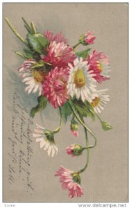 Daisies and Chrysanthemums, PU-1902