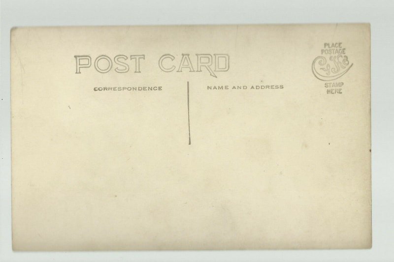 RPPC c1910 CIRCUS PARADE Street Scene ELEPHANT LINE Elephants