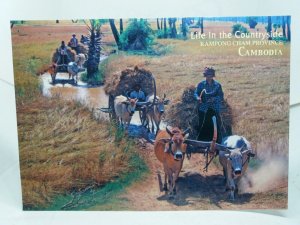 Farmers Gathering Hay Kampong Cham Province Cambodia Vtg Postcard Country Life
