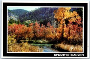 Postcard - Spearfish Canyon, Black Hills - Spearfish, South Dakota