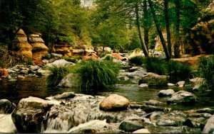 Arizona Oak Creek Spring Fed Mountain Stream