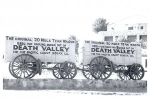 Original 20 Mule Team Wagon Haul Borax from Death Valley RPPC Postcard Repro