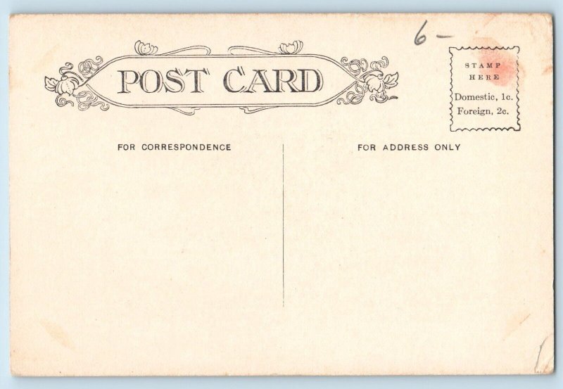 Greensboro North Carolina Postcard Aunt Betsey Holmes Uncle Billy c1910 Vintage