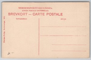 Danske Denmark Danish Military Exercises Scene Soldiers Postcard A43