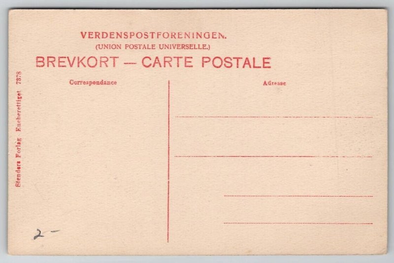 Danske Denmark Danish Military Exercises Scene Soldiers Postcard A43