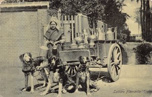 Belgium Laitieres Flamande Flemish Milk Maid Seller Dog postcard B915