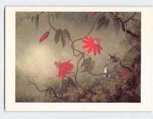 Postcard Passion Flowers & Hummingbirds Painting by Martin J Heade Boston MA USA