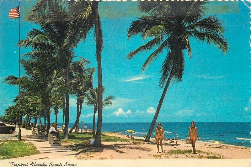 USA Postcard tropical Florida beach scene