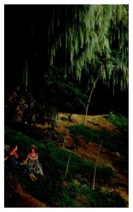 Fern Grotto on boat trip up Wailua River Kauai Hawaii Postcard