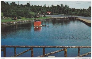 Rockwood Park , ST JOHN , New Brunswick , Canada , 50-60s