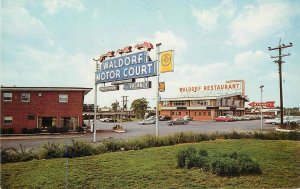 Postcard Maryland Waldorf Motor Court Restaurant 1950s Fleischer Dexter  23-1251