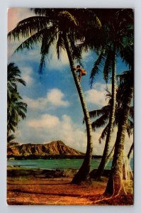 Honolulu HI - Hawaii, Native Person Climbing for Cocoanuts, Postcard 