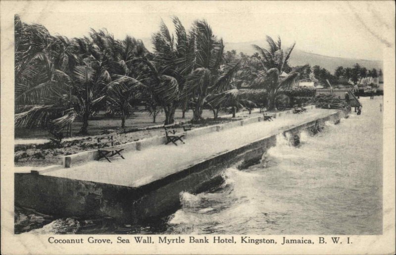 Kingston Jamaica Cocoanut Grove Myrtle Bank Hotel c1900-20s Vintage Postcard