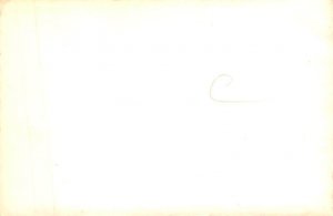 Non PC Backing Nude View Images