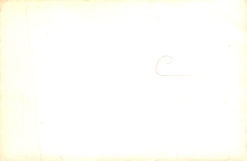 Non PC Backing Nude View Images