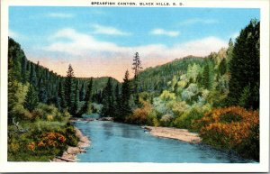 Vtg 1930s Spearfish Canyon Black Hills South Dakota SD Unposted Linen Postcard