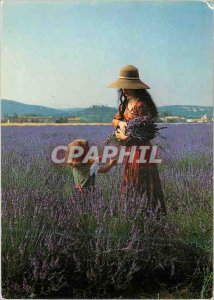 Postcard Modern lavender field in Provence