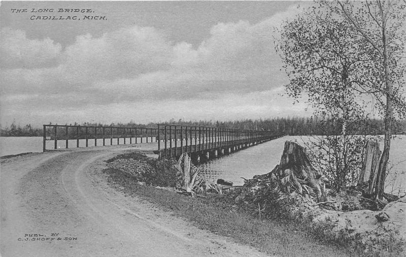 Cadillac Michigan~Long Bridge over Lake~Small Trees & Stumps~c1910 Albertype Pc