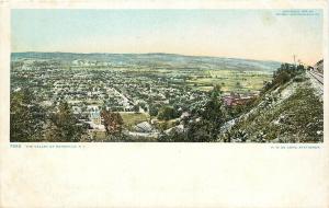 Vintage Postcard Bird's Eye View The Valley Of Dansville NY Livingston County