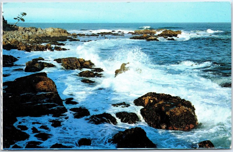 VINTAGE POSTCARD THE RUGGED COASTLINE OF CAPE BRETON NOVA SCOTIA CANADA