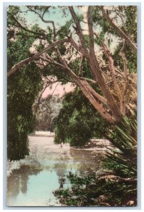 Del Monte California CA Postcard Laguna Del Rey Hotel Del Monte c1920's Antique