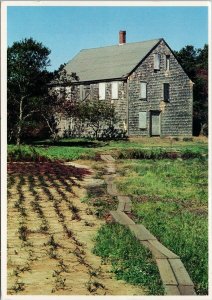 Cranberry Bog Cape Cod National Seashore Truro MA Postcard C8