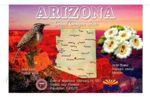 AZ - Arizona Map & Highlights   (continental size)