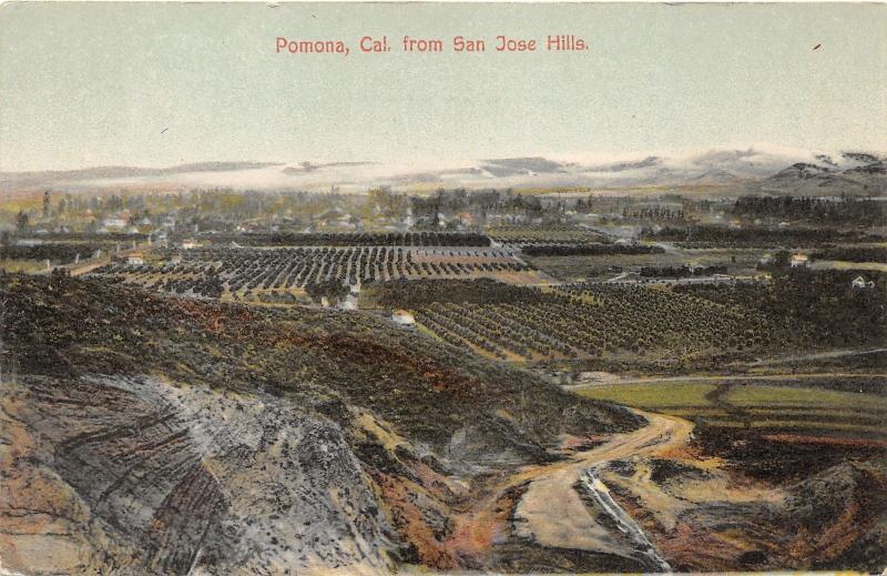 Pomona California (from San Jose Hills)~Vineyards? in Foreground~c1910 Postcard