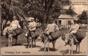 Three Postcards Views Scene Oranges Gordon Town Jamaica