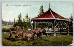 Animals~Tacoma Washington~Elk & Shelter In Point Defiance Park~Vintage Postcard