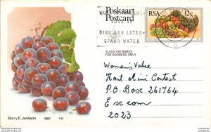 RSA South Africa Postal Stationery Grape  to Excom