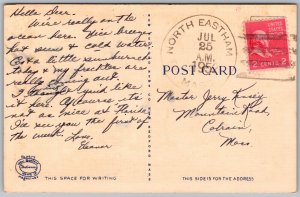 Vtg Cape Cod MA Birdseye View Map Fried Clams Humor 1950s Linen Postcard