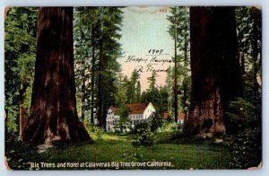 1910 Big Tree California Vintage Postcard Hotel Calaveras Grove Building Posted