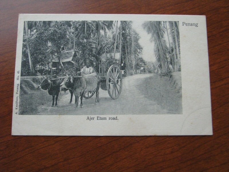 Malaya Postcard 1900-06 UDB Unused Penang Ajer Etam Road Carts 